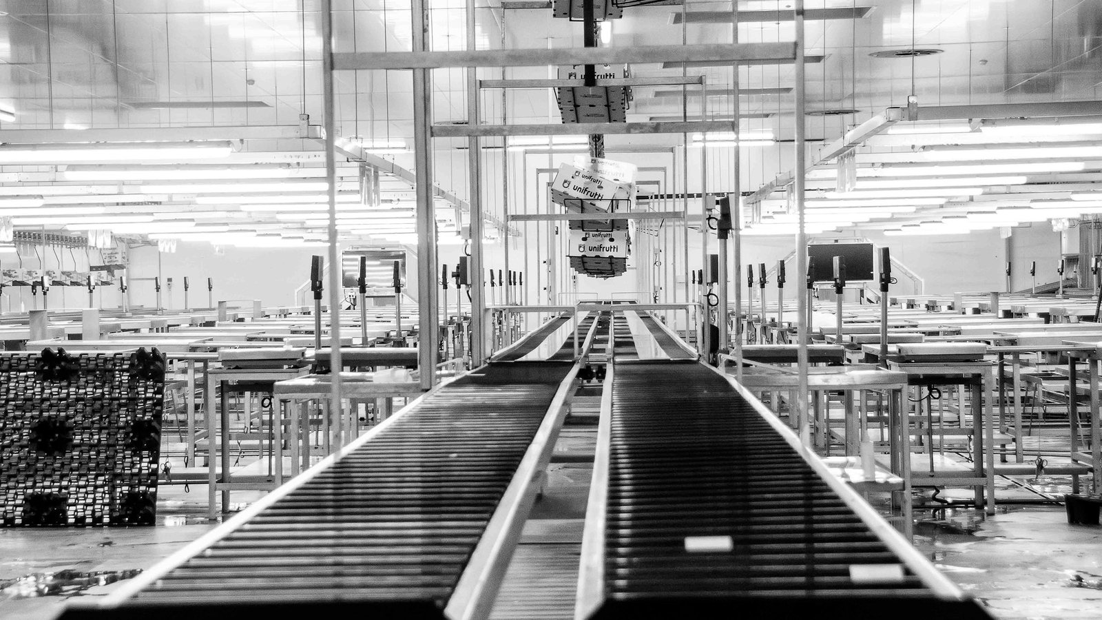 Chi phí thực của AI Camera giám sát line chiết rót và cách tính hoàn vốn